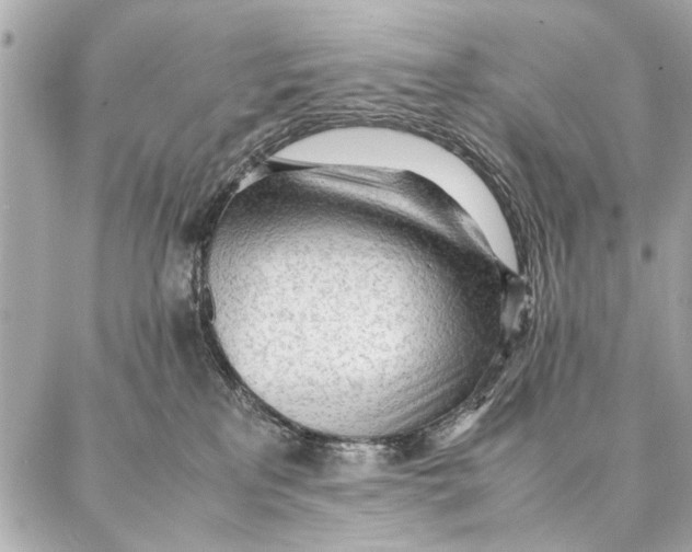 X0000087360233200705111653