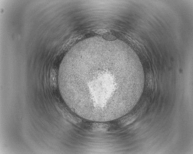 X0000087360234200705111653