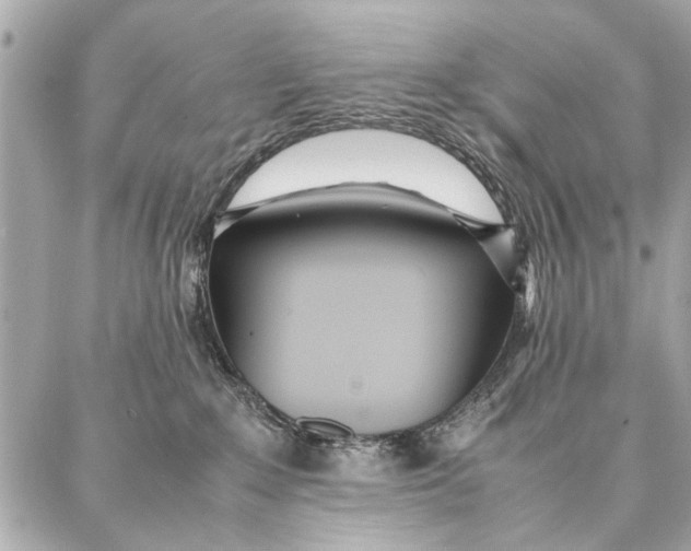 X0000087360235200705111653