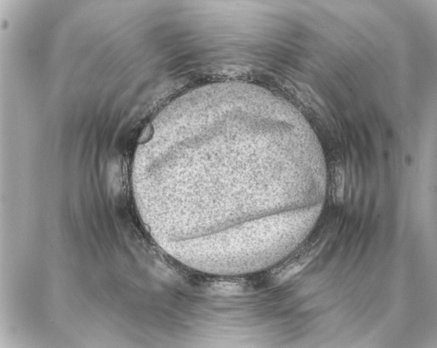 X0000087360236200705111653