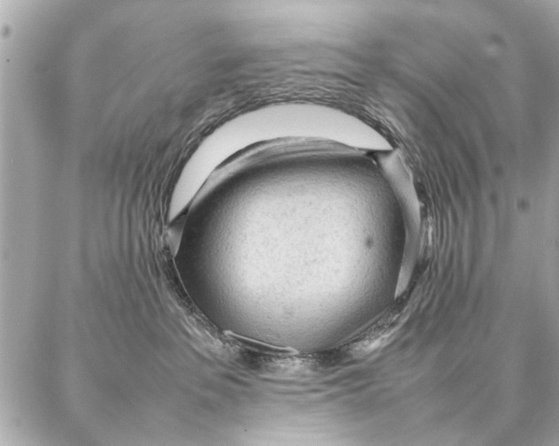 X0000087360237200705111653