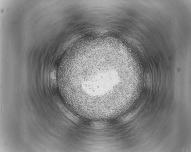 X0000087360238200705111653