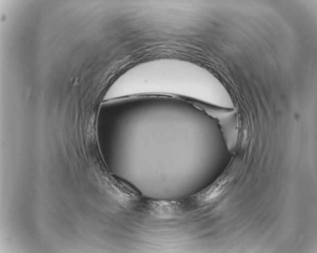 X0000087360239200705111653