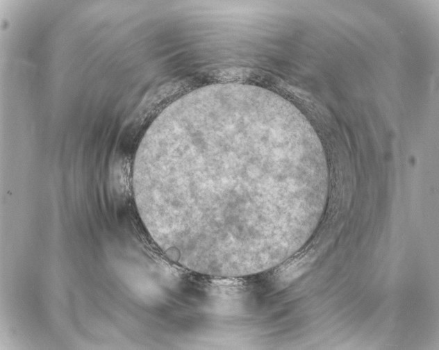 X0000087360240200705111653