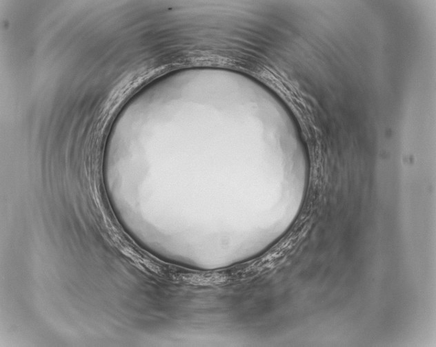 X0000087360241200705111652