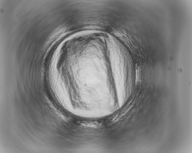 X0000087360243200705111652