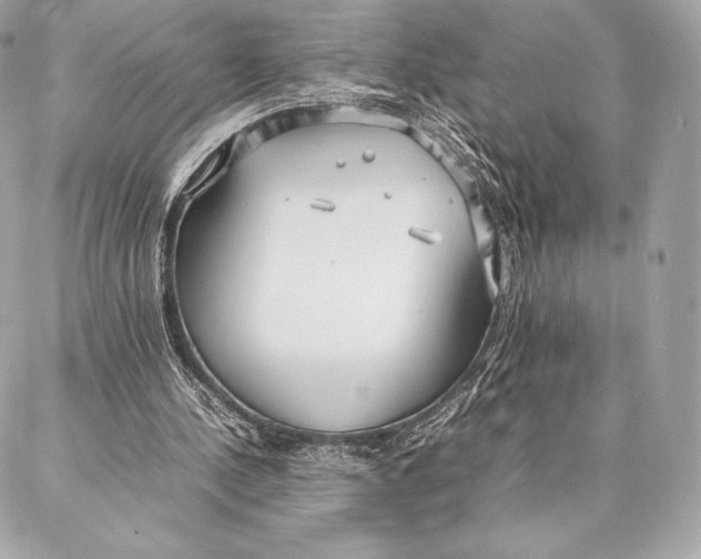 X0000087360244200705111652