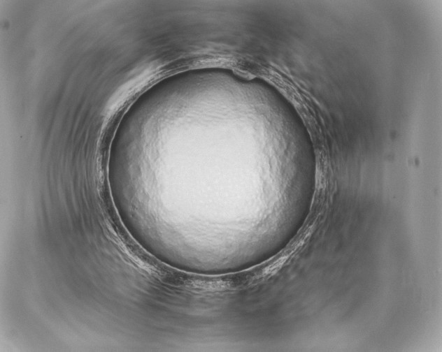 X0000087360245200705111652