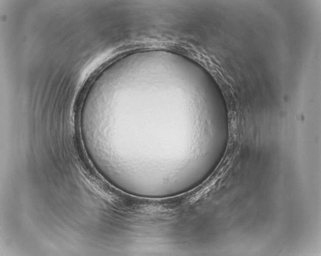 X0000087360246200705111652