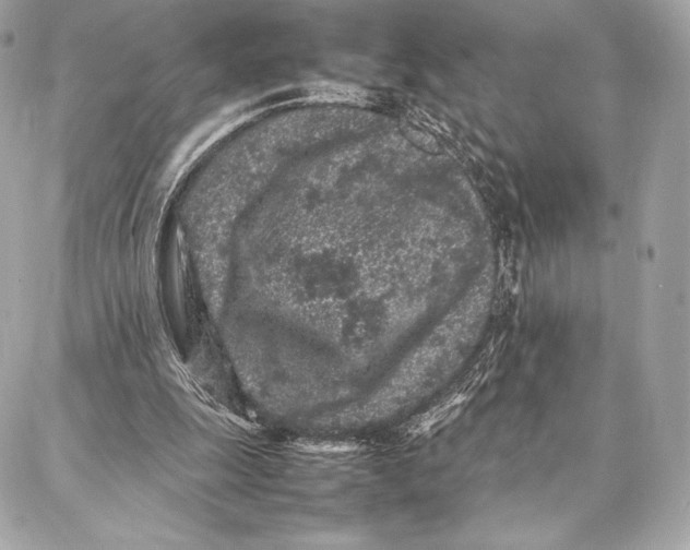 X0000087360247200705111652