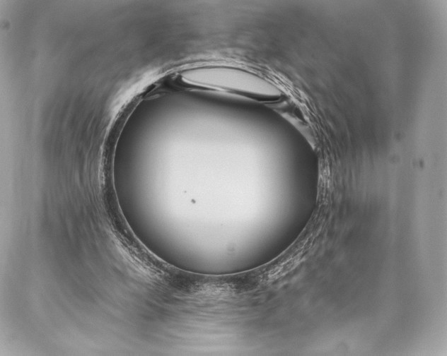 X0000087360248200705111652