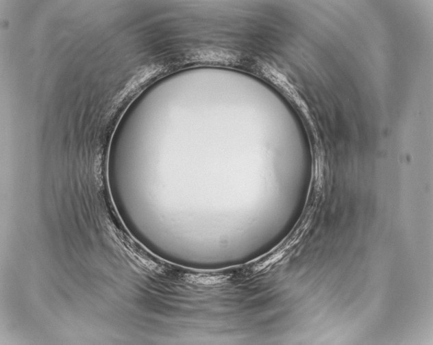 X0000087360249200705111652