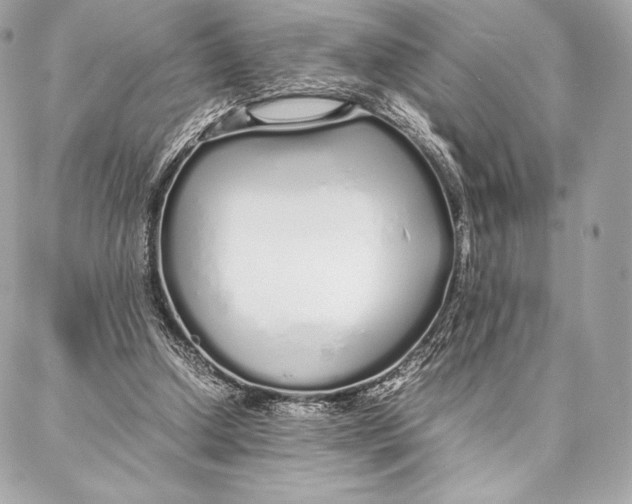 X0000087360250200705111652