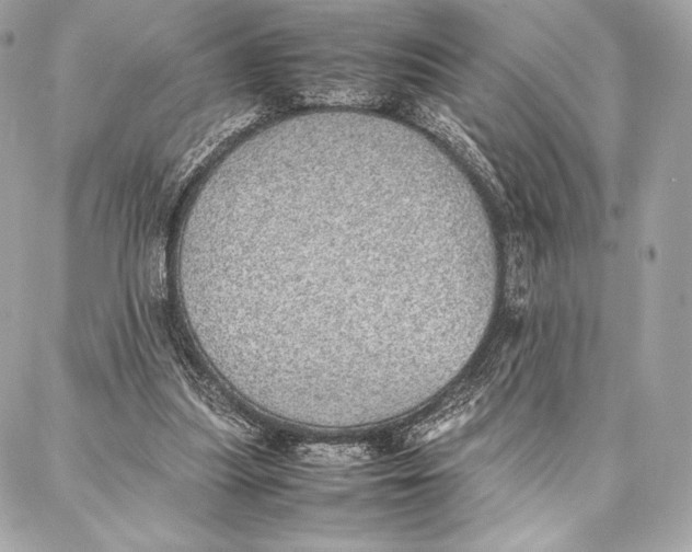 X0000087360251200705111652