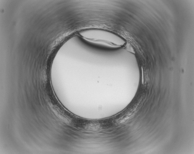 X0000087360252200705111652