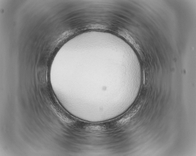 X0000087360253200705111652