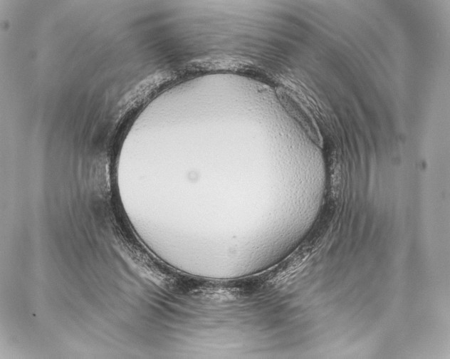 X0000087360254200705111652