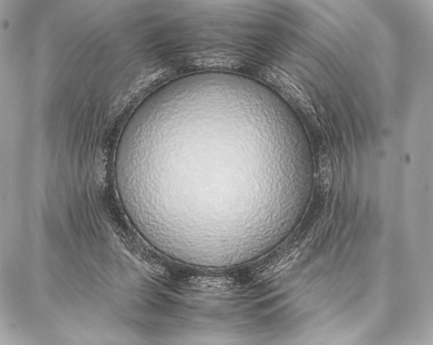 X0000087360255200705111652