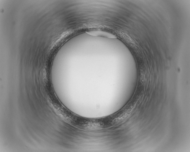 X0000087360256200705111652