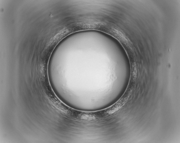 X0000087360258200705111652