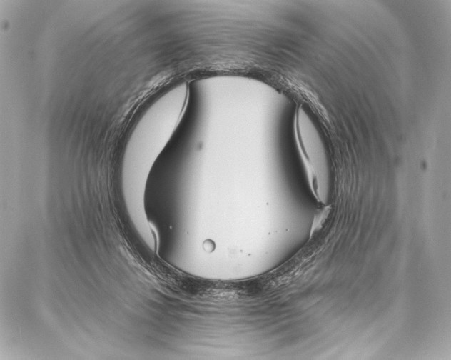 X0000087360260200705111652