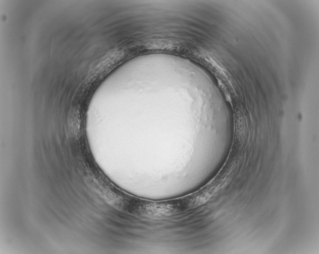 X0000087360261200705111652