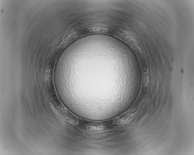 X0000087360263200705111652