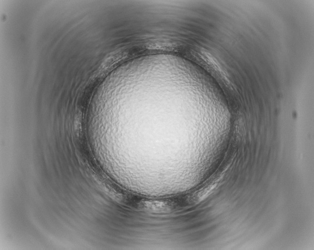 X0000087360265200705111652