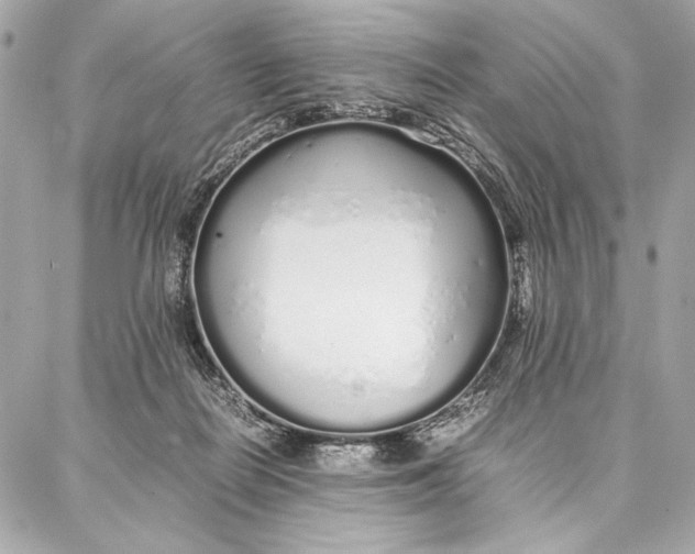 X0000087360266200705111652