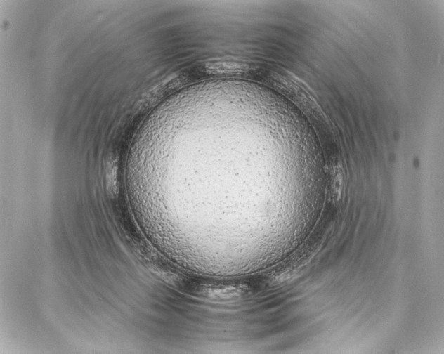 X0000087360267200705111652