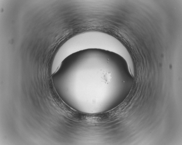 X0000087360268200705111652