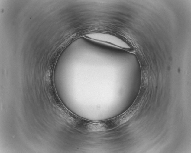 X0000087360269200705111652