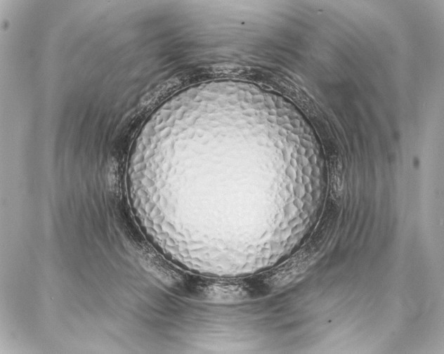 X0000087360270200705111652