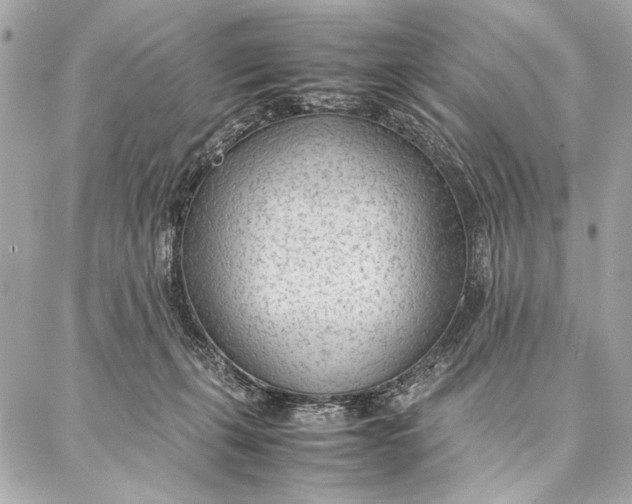 X0000087360271200705111652