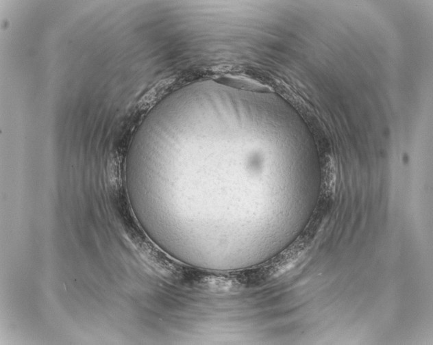 X0000087360272200705111652