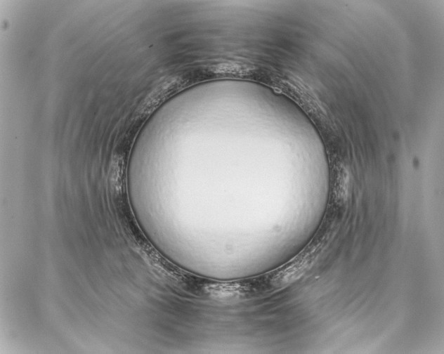 X0000087360273200705111652