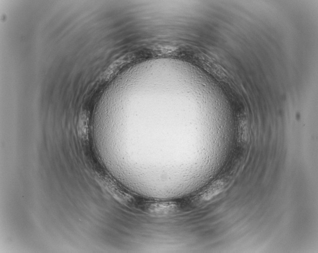 X0000087360274200705111652