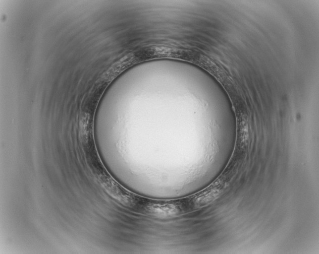 X0000087360275200705111652