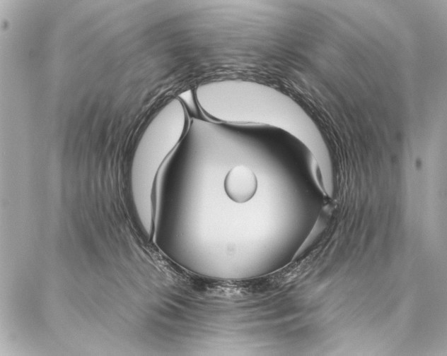 X0000087360276200705111652