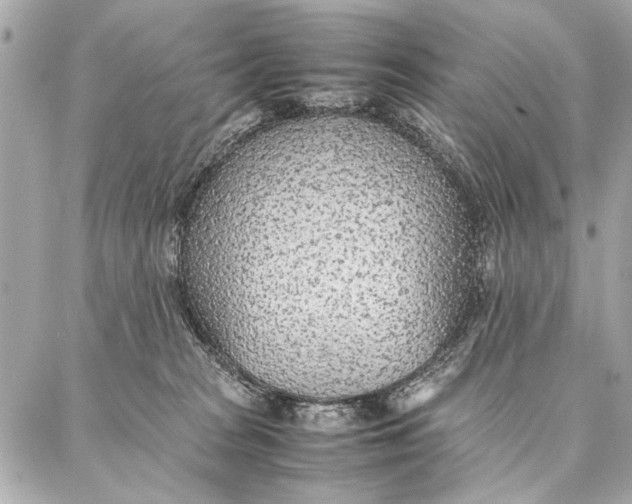 X0000087360277200705111652