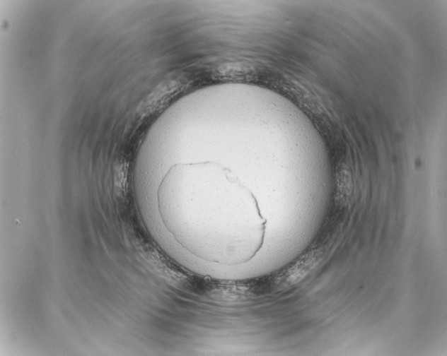 X0000087360278200705111652