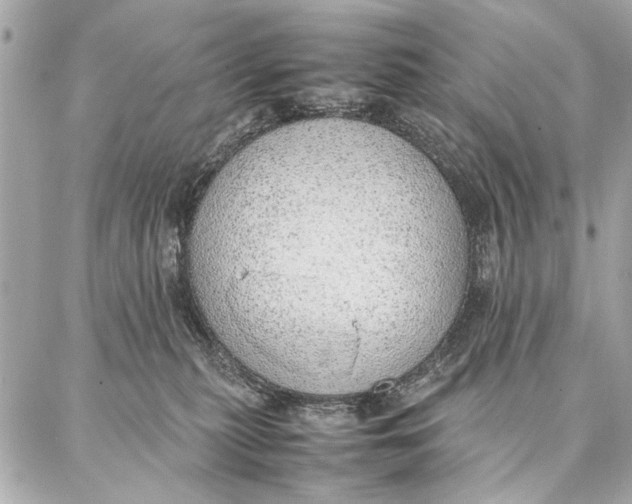 X0000087360279200705111652