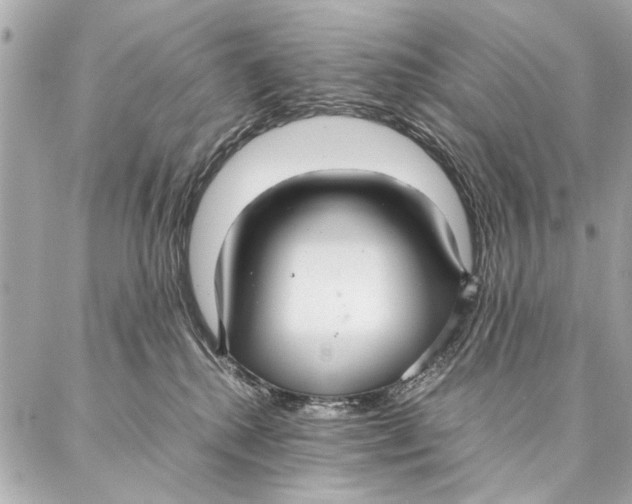 X0000087360280200705111652