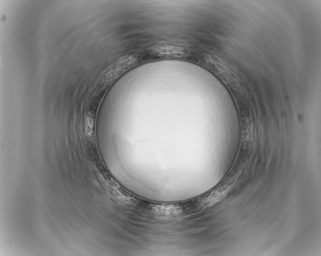 X0000087360281200705111652