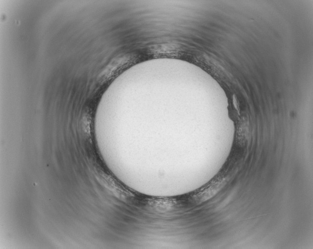 X0000087360282200705111652