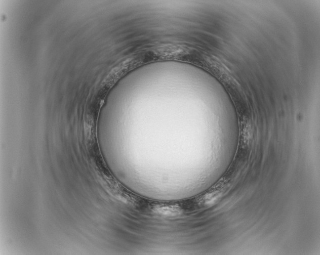 X0000087360283200705111652