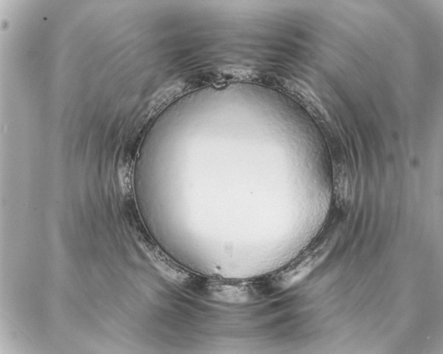 X0000087360285200705111652