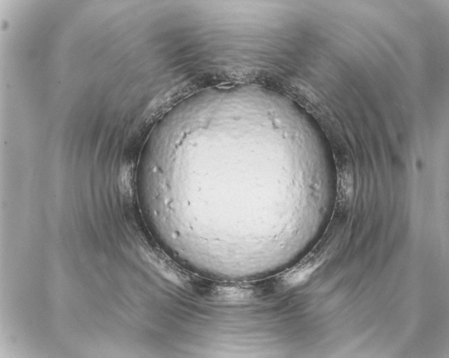 X0000087360286200705111653