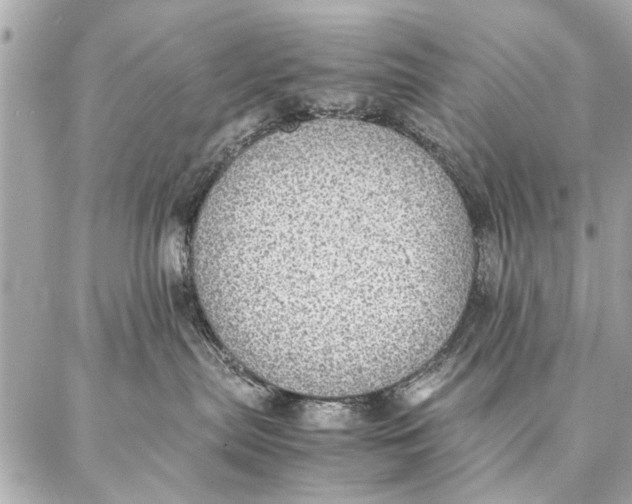 X0000087360287200705111653