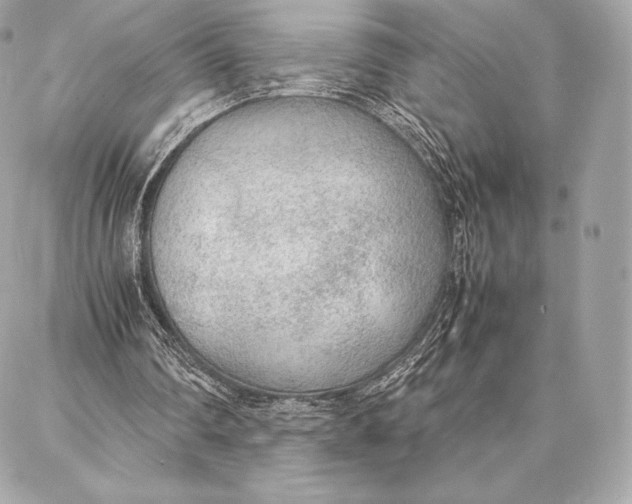 X0000087360290200705111652